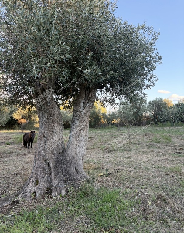 Οικόπεδο 1.760 τ.μ. προς πώληση, Ιθώμη Μεσσηνίας