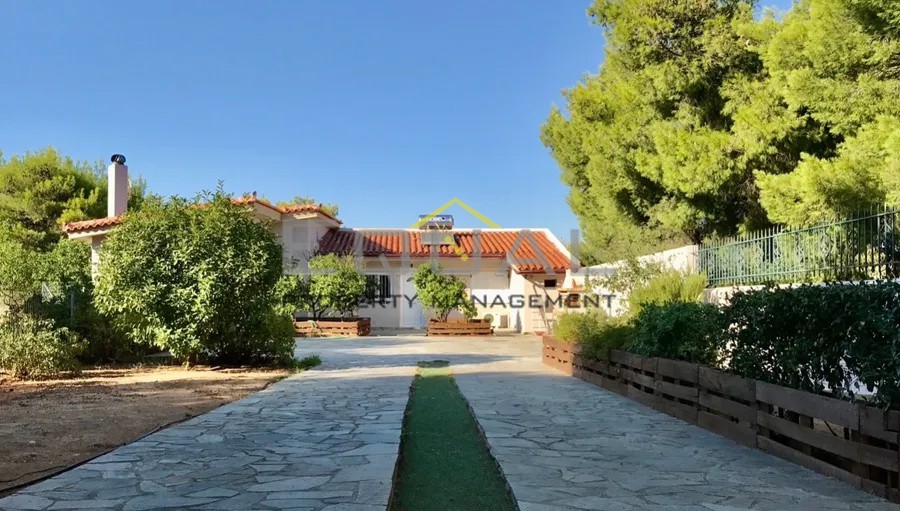 Μονοκατοικία 80 τ.μ. προς ενοικίαση, Ραφήνα