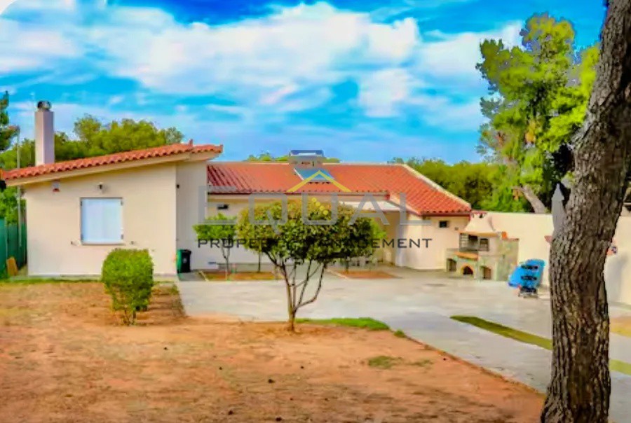 Μονοκατοικία 80 τ.μ. προς ενοικίαση, Ραφήνα