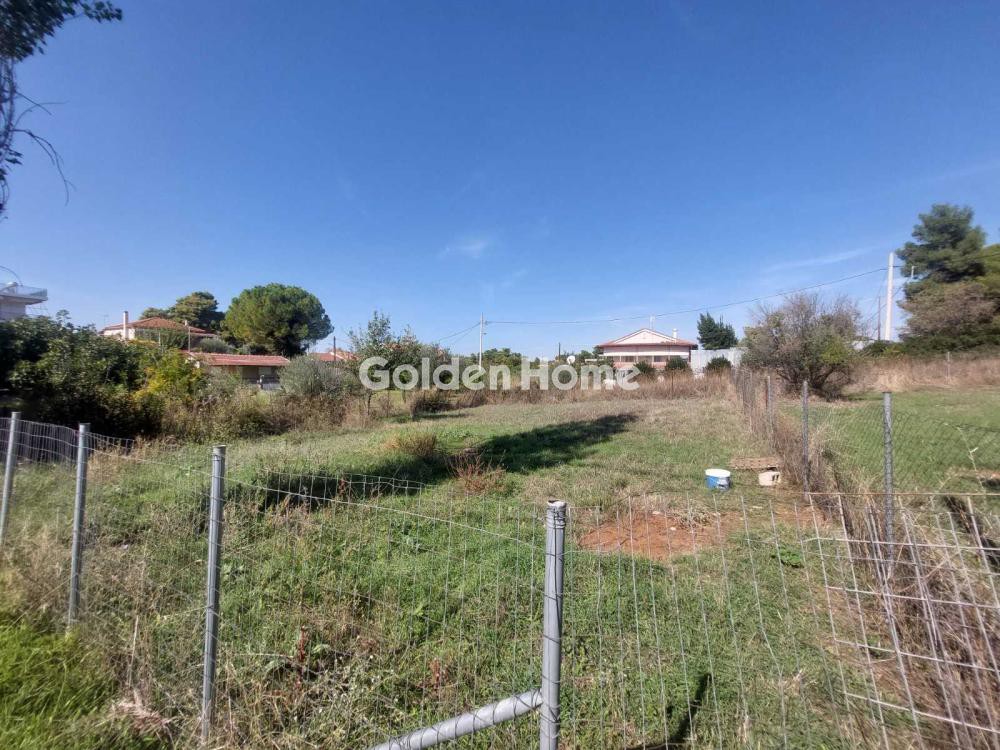 Οικόπεδο 301 τ.μ. προς πώληση, Νέα Πολιτεία Ωρωπού