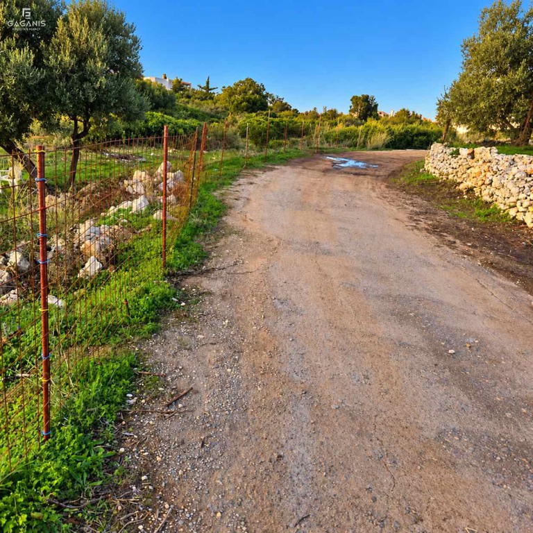 Οικόπεδο 1.126 τ.μ. προς πώληση, Ρουσσοσπίτι