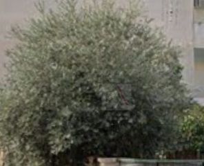 Οικόπεδο 281 τ.μ. προς πώληση