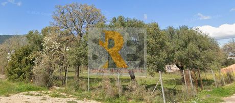 Land plot 592 sqm for sale