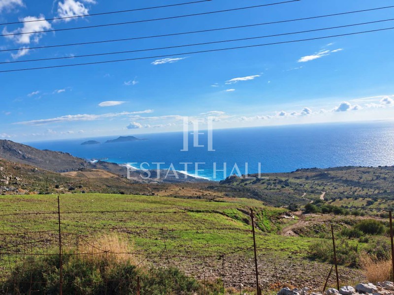 Οικόπεδο 12.703 τ.μ. προς πώληση, Μύρθιος Φοινίκα