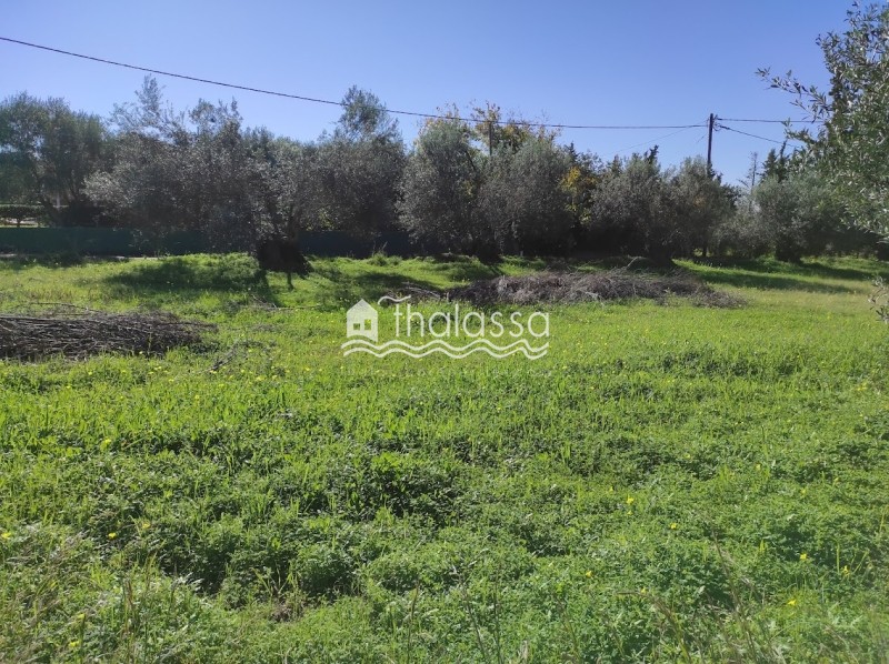 Οικόπεδο 3.190 τ.μ. προς πώληση, Αργοστόλι