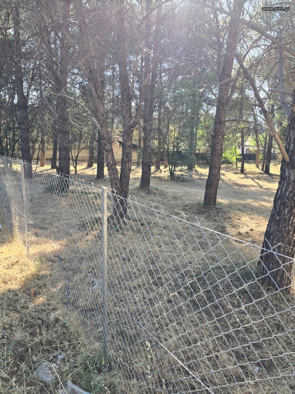 Οικόπεδο 4.500 τ.μ. προς πώληση, Φασιδέρη