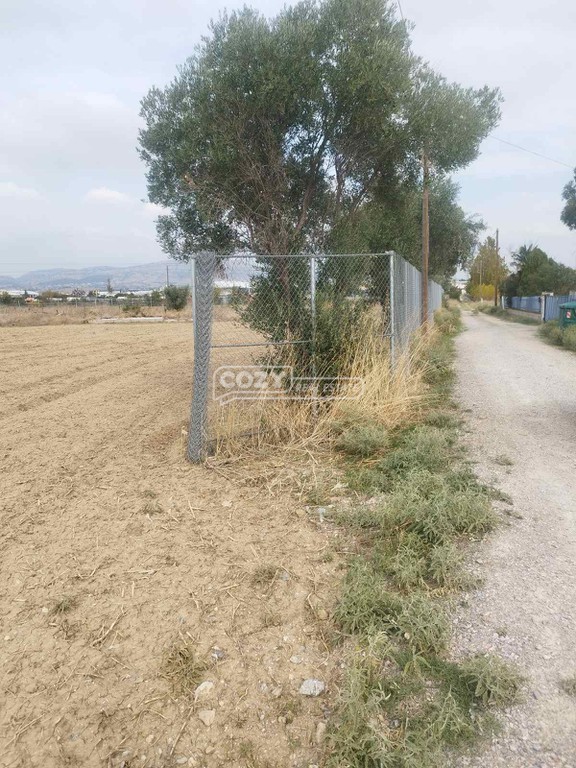 Αγροτεμάχια 5.000 τ.μ. προς πώληση, Νικόπολη Σταυρούπολης