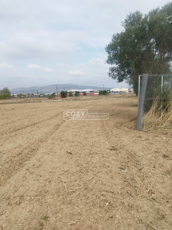 Αγροτεμάχια 5.000 τ.μ. προς πώληση, Νικόπολη Σταυρούπολης