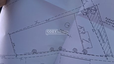 Αγροτεμάχια 5.000 τ.μ. προς πώληση