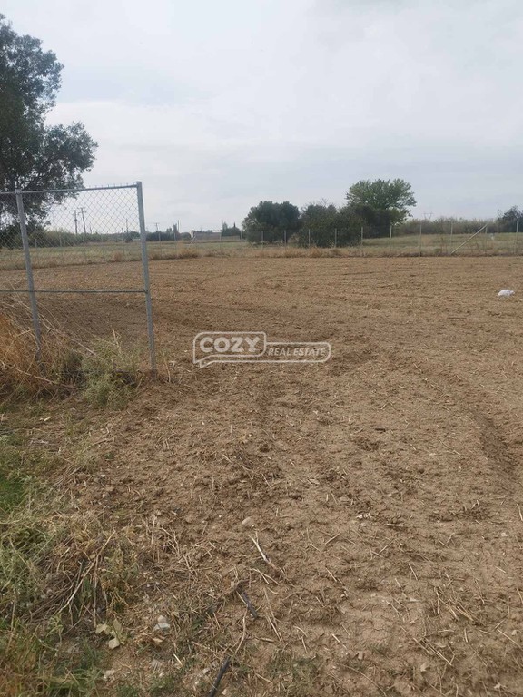 Αγροτεμάχια 5.000 τ.μ. προς πώληση, Νικόπολη Σταυρούπολης