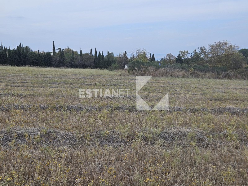 Αγροτεμάχια 9.000 τ.μ. προς πώληση, Περαία Θερμαϊκού