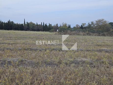 Αγροτεμάχια 9.000 τ.μ. προς πώληση