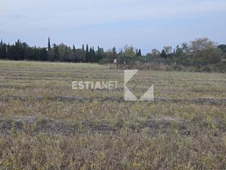 Αγροτεμάχια 9.000 τ.μ. προς πώληση