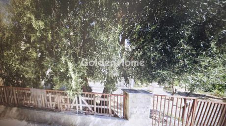 Land plot 777 sqm for sale