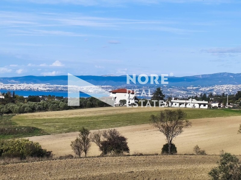 Διαμέρισμα 340 τ.μ. προς πώληση, Πλαγιάρι Θέρμης