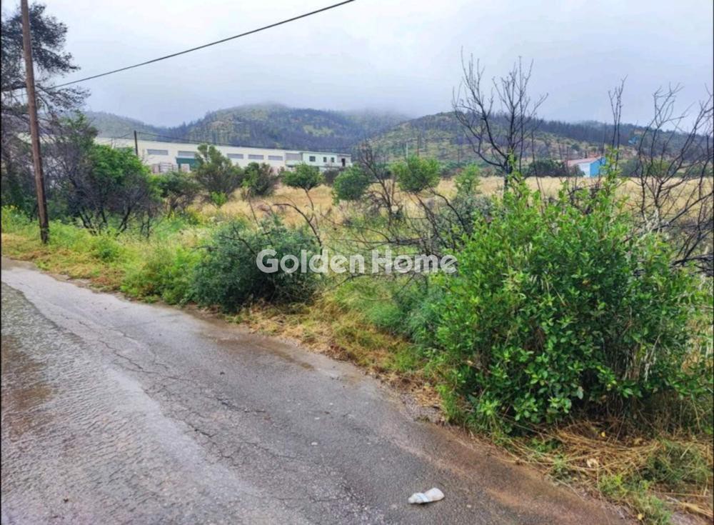 Οικόπεδο 18.000 τ.μ. προς πώληση, Πολυδένδρι Αττικής