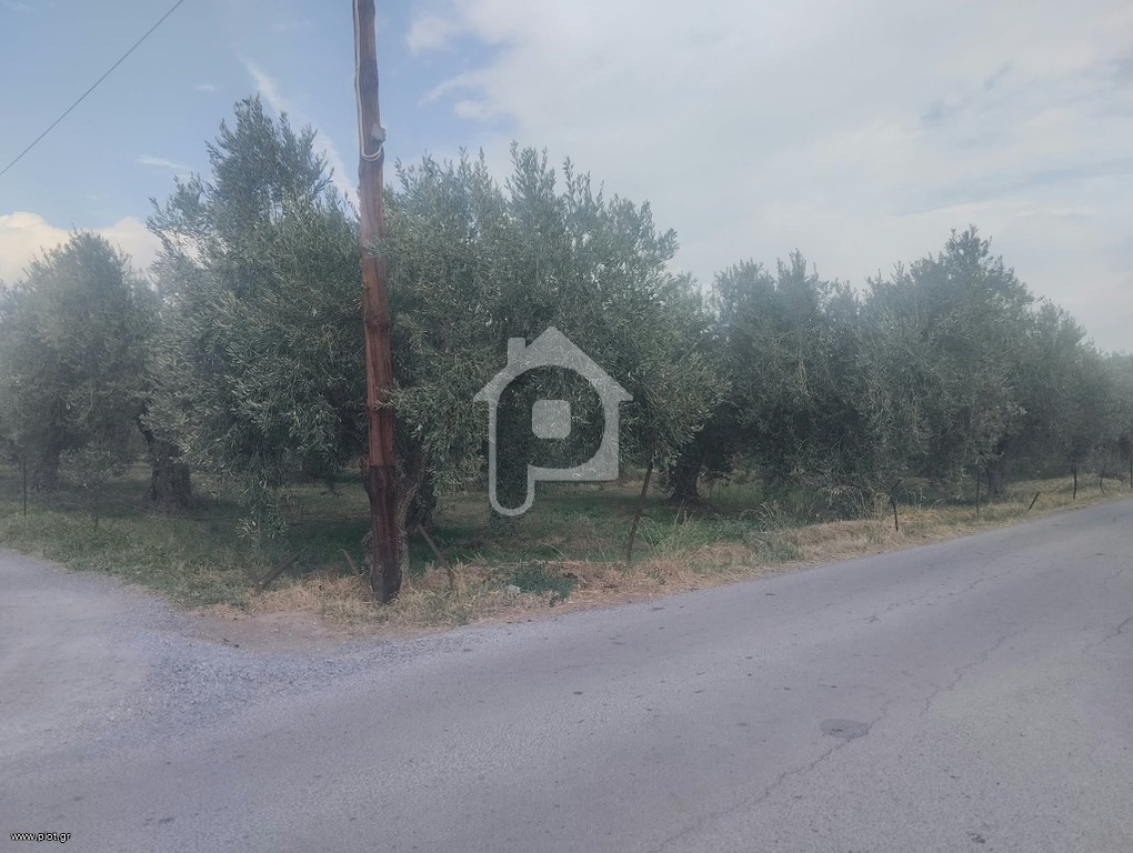 Οικόπεδο 2.206 τ.μ. προς πώληση, Κίρρα Ιτέας