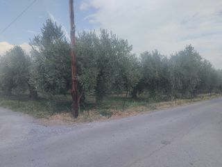 Οικόπεδο 2.206 τ.μ. προς πώληση, Κίρρα Ιτέας-thumb-2