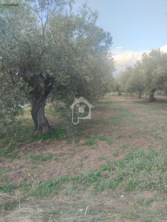 Οικόπεδο 2.206 τ.μ. προς πώληση, Κίρρα Ιτέας
