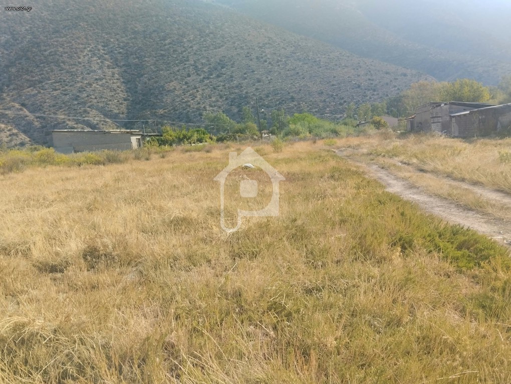 Οικόπεδο 2.036 τ.μ. προς πώληση, Κίρρα Ιτέας