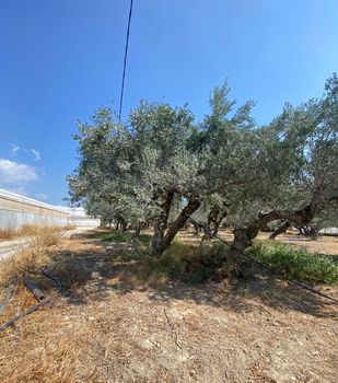 Parcel 2.350 sqm for sale