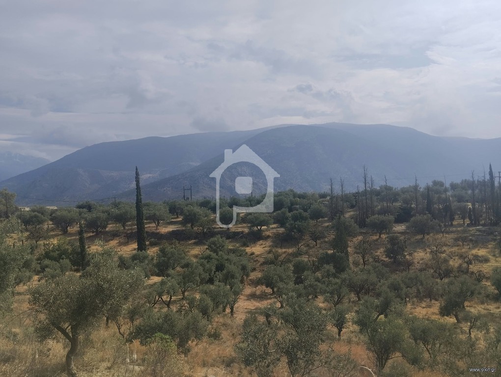 Αγροτεμάχια 6.092 τ.μ. προς πώληση, Κέντρο Ιτέας