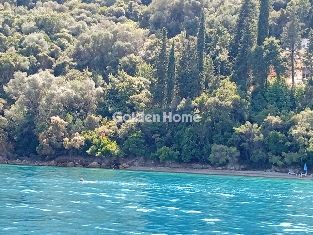 Αγροτεμάχια 22.000 τ.μ. προς πώληση, Σπάρτη Μεγανησίου