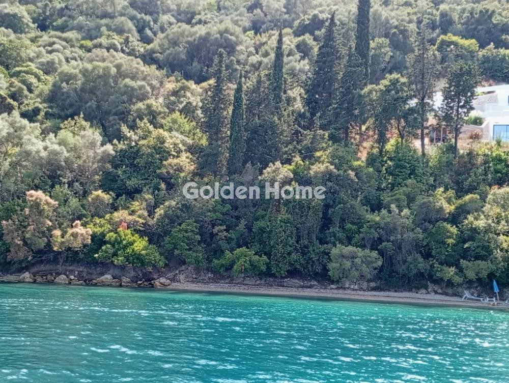 Αγροτεμάχια 22.000 τ.μ. προς πώληση, Σπάρτη Μεγανησίου