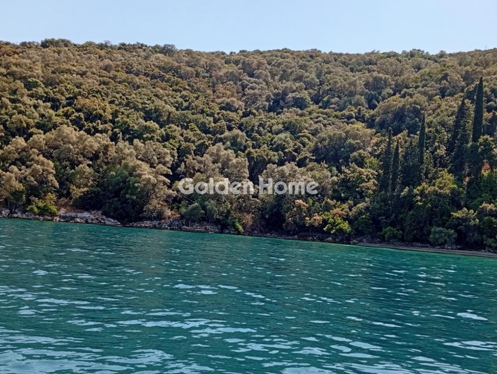 Αγροτεμάχια 22.000 τ.μ. προς πώληση, Σπάρτη Μεγανησίου