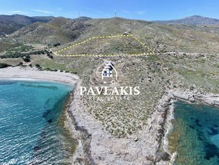 Οικόπεδο 25.000 τ.μ. προς πώληση