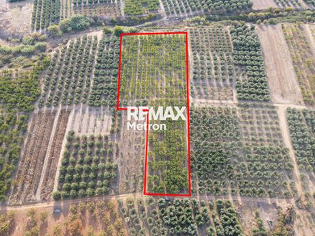 Αγροτεμάχια 9.240 τ.μ. προς πώληση
