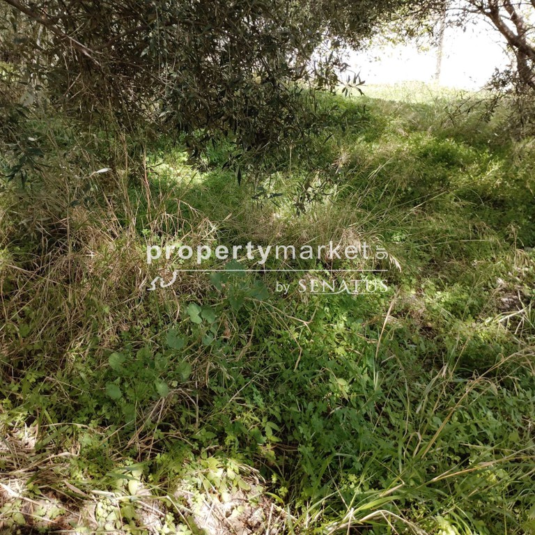 Οικόπεδο 267 τ.μ. προς πώληση, Κέντρο Ρεθύμνου
