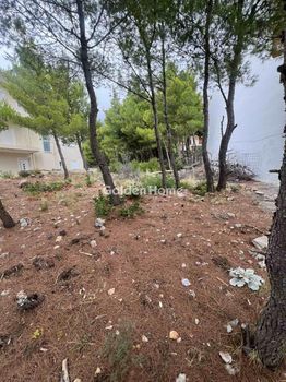 Οικόπεδο 1.043 τ.μ. προς πώληση