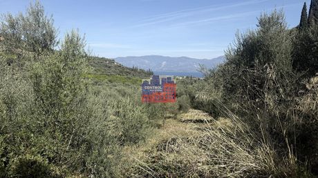 Οικόπεδο 4.000 τ.μ. προς πώληση