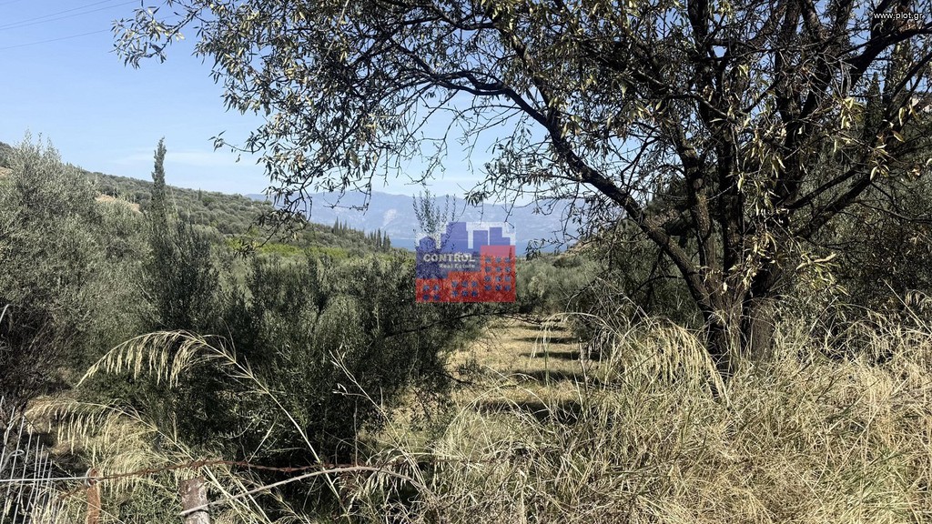 Οικόπεδο 4.000 τ.μ. προς πώληση, Άγιος Κωνσταντίνος Αιγιάλειας