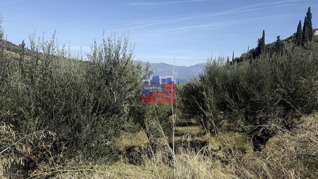 Οικόπεδο 4.000 τ.μ. προς πώληση, Άγιος Κωνσταντίνος Αιγιάλειας