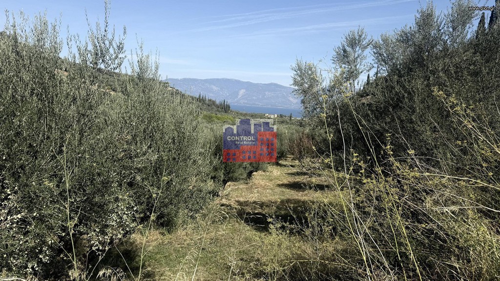 Οικόπεδο 4.000 τ.μ. προς πώληση, Άγιος Κωνσταντίνος Αιγιάλειας