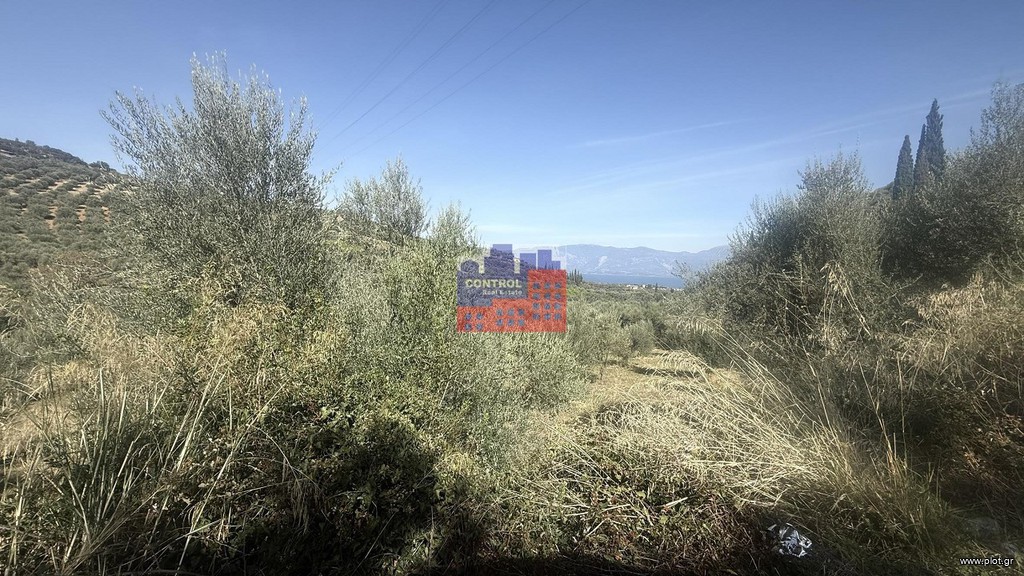 Οικόπεδο 4.000 τ.μ. προς πώληση, Άγιος Κωνσταντίνος Αιγιάλειας