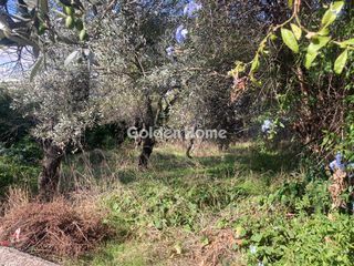 Land plot 360 sqm for sale