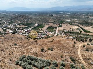 Οικόπεδο 6.170 τ.μ. προς πώληση, Κέντρο Μιδέας-thumb-3