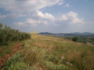 Οικόπεδο 390 τ.μ. προς πώληση, Κέντρο Μιδέας-thumb-5