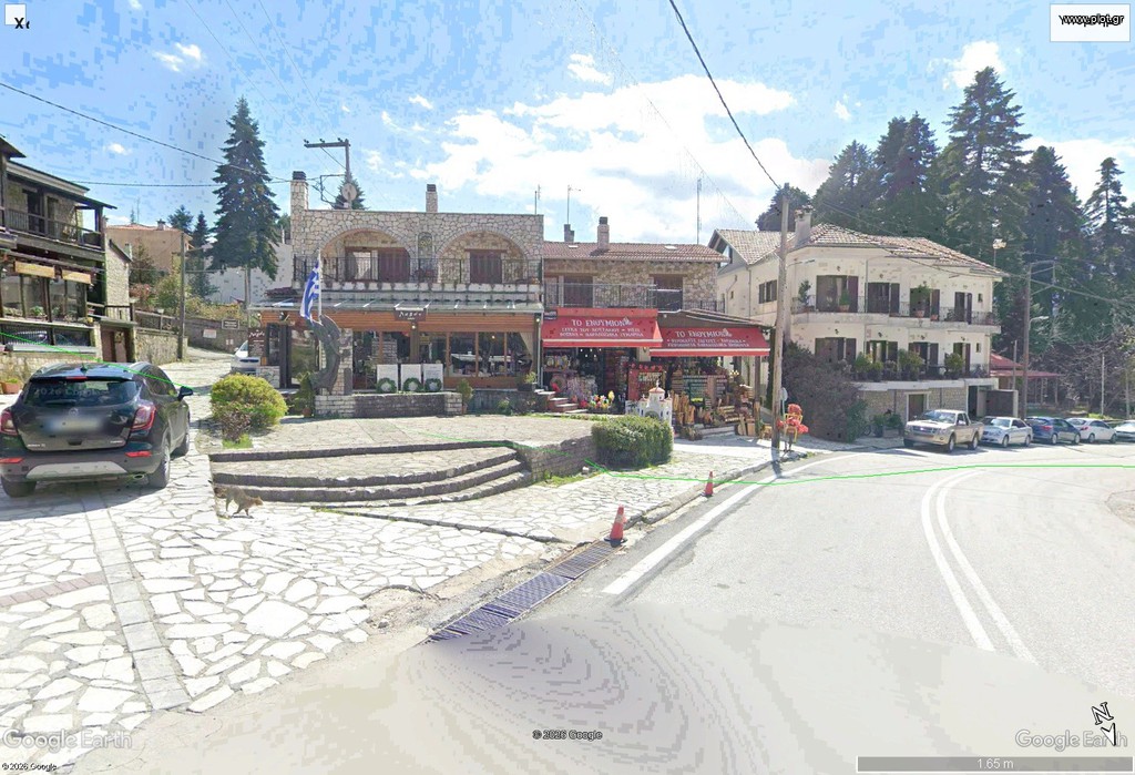 Οικόπεδο 468 τ.μ. προς πώληση, Ελάτη Αιθήκων