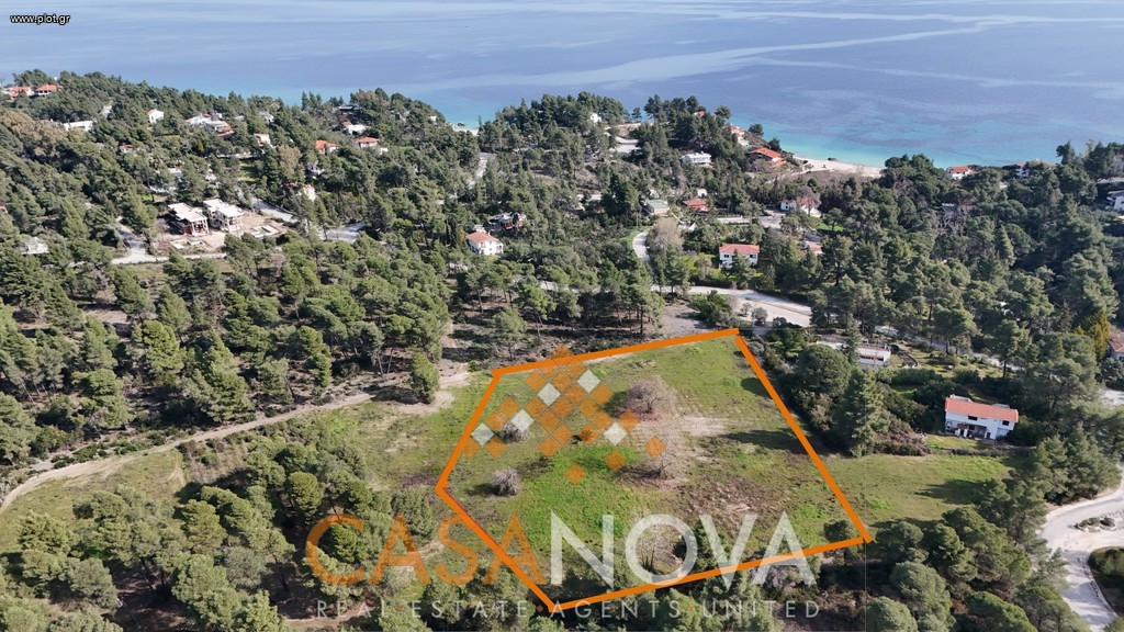 Αγροτεμάχια 17.000 τ.μ. προς πώληση, Καρύδι Σιθωνίας