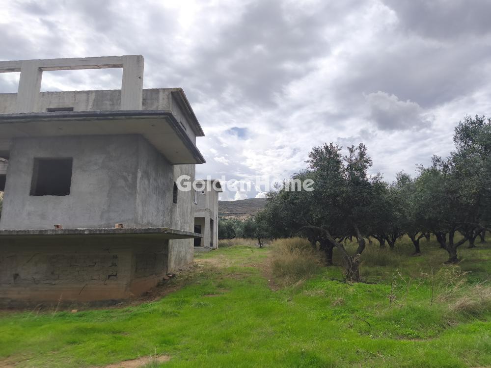 Οικόπεδο 9.300 τ.μ. προς πώληση, Τράχηλος
