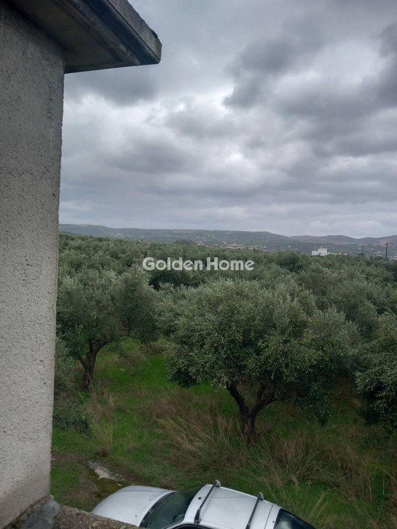 Οικόπεδο 9.300 τ.μ. προς πώληση, Τράχηλος