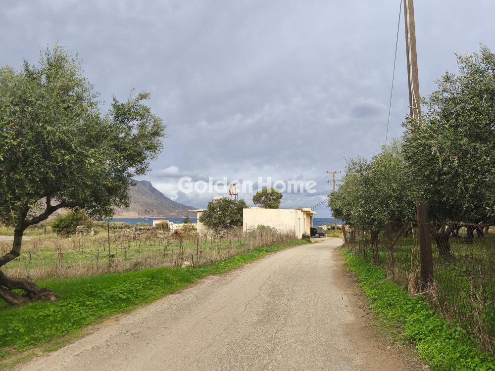 Οικόπεδο 9.300 τ.μ. προς πώληση, Τράχηλος