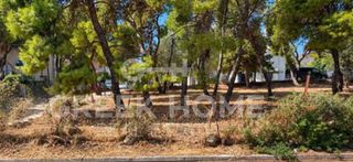 Land plot 712 sqm for sale