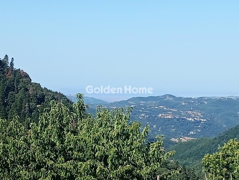 Μονοκατοικία 52 τ.μ. προς πώληση, Σκουληκαριά