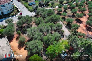 Οικόπεδο 650 τ.μ. προς πώληση, Μεσσήνη-thumb-8