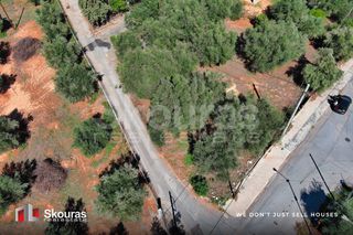 Οικόπεδο 650 τ.μ. προς πώληση, Μεσσήνη-thumb-17